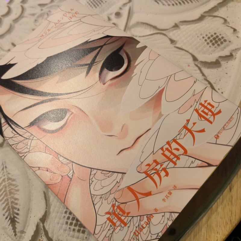 Japoński komiks Angel Original – Japanese Lifestyle Books recenzja i cena